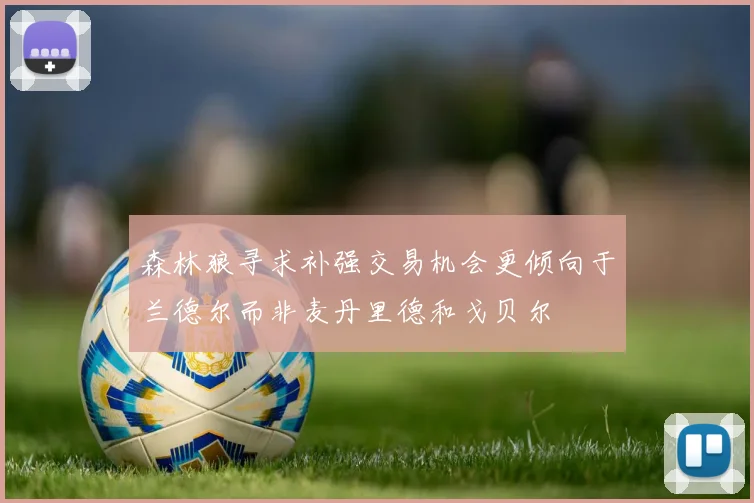 森林狼寻求补强交易机会更倾向于兰德尔而非麦丹里德和戈贝尔