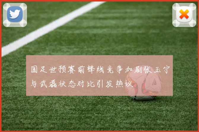 国足世预赛前锋线竞争加剧张玉宁与武磊状态对比引发热议